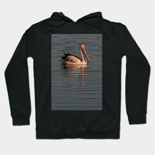 Pelican at Sunset 1 Hoodie